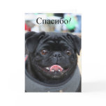Спасибо Russian Pug Dog Thank you card