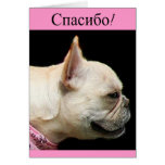 Спасибо Thank You French Bulldog Greeting Card