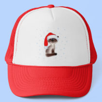 Сat in Santa Hat hats