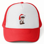 ?at in Santa Hat