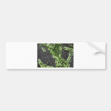 侘 bi maturing of moss green bumper stickers
