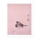 双雀, 栖鳳 Pair of The Sparrow, Seihō, Japanese Art Post Cards