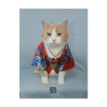 猫 POSTCARD