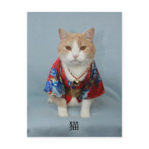 猫 POSTCARD