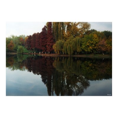 0001 PRINT by pgddesign