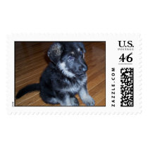 000_0175.jpg postage