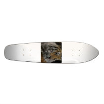 000_3734, IMG_0334 skateboards