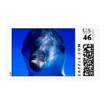 #0014 Dolphin Headshot Stamps