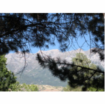 001 001 PHOTO CUTOUT