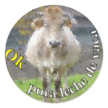 001-0084 STICKERS - PEGATINAS