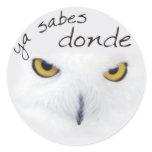 001-0085 STICKERS - PEGATINAS
