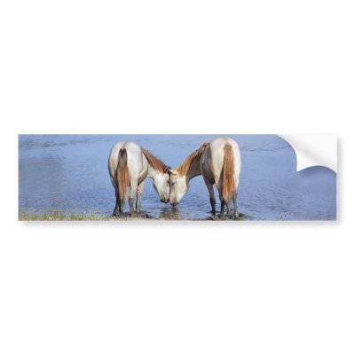 001) HORSES IN LOVE BUMPER STICKER by lebanmax