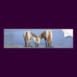 001) HORSES IN LOVE
