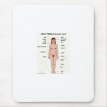 002%20Adult%20female%20(anterior%20view) Mouse Pad