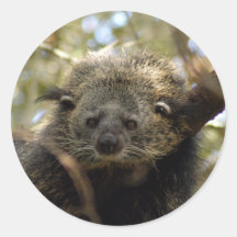 002Bearcat Round Stickers