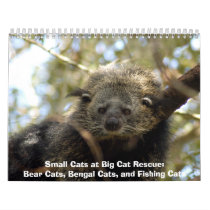 002Bearcat, Small Cats at Big Cat Rescue:Bear C... calendars