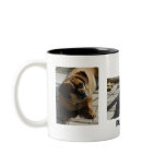 003, 167, 166, Puggle mug
