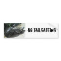 003, NO TAILGATEING bumper stickers