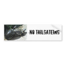 003, NO TAILGATEING bumper stickers