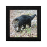 003Bearcat Trinket Box