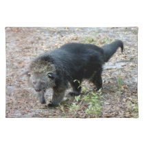 003Bearcat placemats