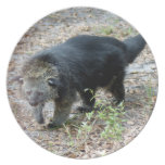 003Bearcat Party Plates