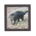 003Bearcat Premium Keepsake Box