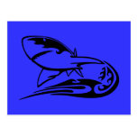 0041b_flamboyant_animals GREAT WHITE SHARK SEALIFE Post Card