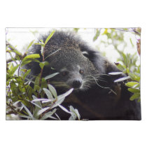 005Bearcat placemats