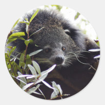 005Bearcat Round Stickers