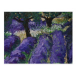 0063-le champ de lavande postcards