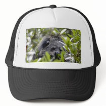 006Bearcat Mesh Hat