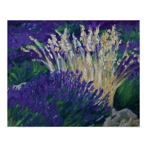 0071-le champ de lavande print