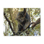 007Bearcat Post Card