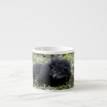 008Bearcat-edt mugs