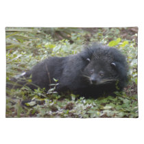 008Bearcat-edt placemats