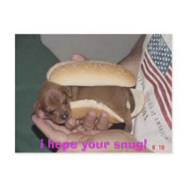 009, i hope your snug! postcards