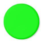 00FF00 Lime Green Magnets