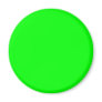 00FF00 Lime Green Magnets
