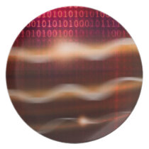01001010100101101 - Plate