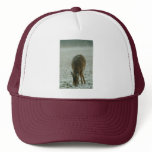 010611-7H TRUCKER HAT