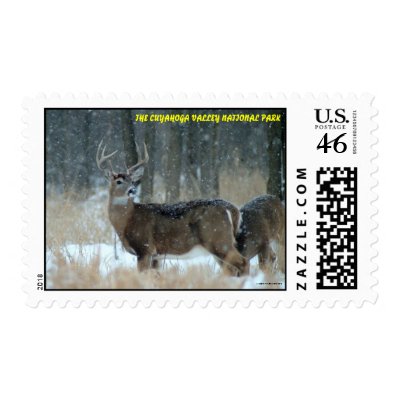 011110-40-APS POSTAGE STAMP by MicksPixPhotos