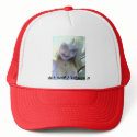 _011807_2321a, dont sweat it just wear it! hats