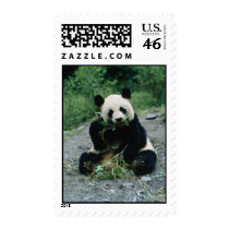 0132H001(Panda eating) postage by Khamia14 0132H001(Panda eating) postage