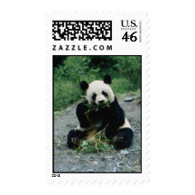 0132H001(Panda eating) Postage Stamps