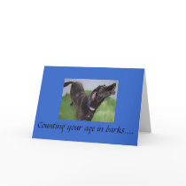 013, Counting your age in barks.... Cards