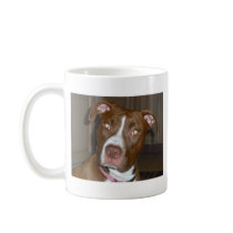 019 (1) perfect puppy pic of Brandy Coffee Mugs