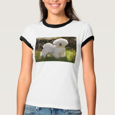 01, DE ISHBILIA BICHON FRISE TEES by taralute