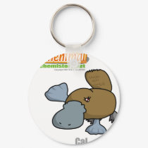 020 Cal of Chenimal (Calcium) keychains