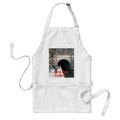 020, Paw Paw Tunnel. Aprons by davidlep